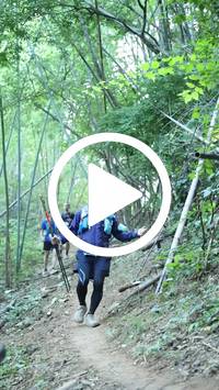 BIB:  <button type="button" onclick="openModal(28040709)" class="btn btn-primary btn-sm float-right" data-toggle="modal" data-target=".modal-high-quality">
                <i class="fa fa-download"></i> Download
                </button>